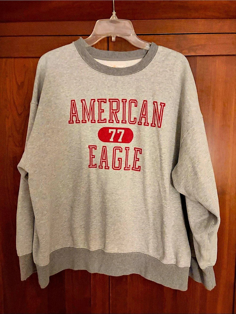 American Eagle Graphic Sweatshirt in Gray